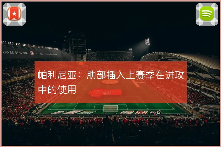 帕利尼亚：肋部插入上赛季在进攻中的使用