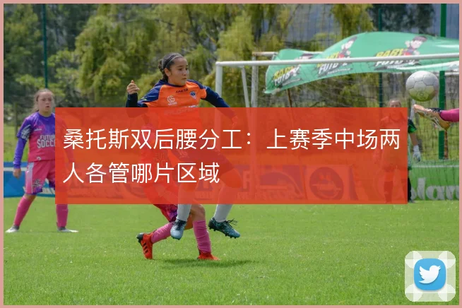 桑托斯双后腰分工：上赛季中场两人各管哪片区域