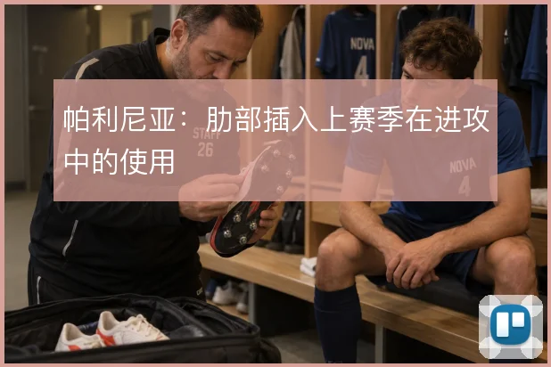 帕利尼亚:肋部插入上赛季在进攻中的使用